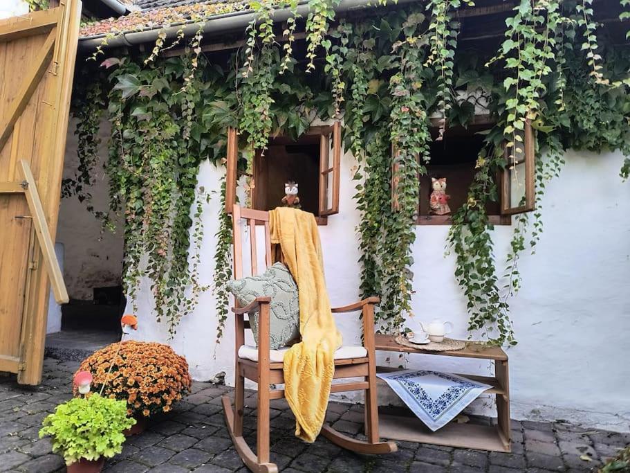 Chaloupka U Mostu Sv Jana V Centru Vodnan Vodňany Exterior foto